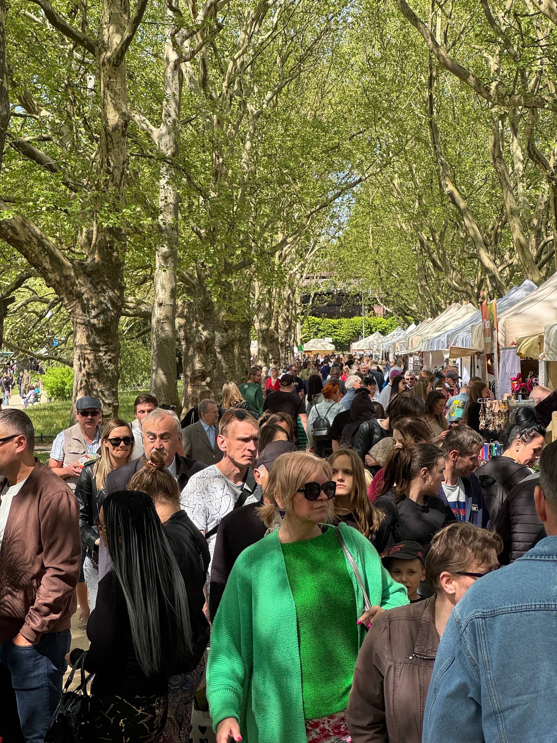 Aleja platanów pełna gości