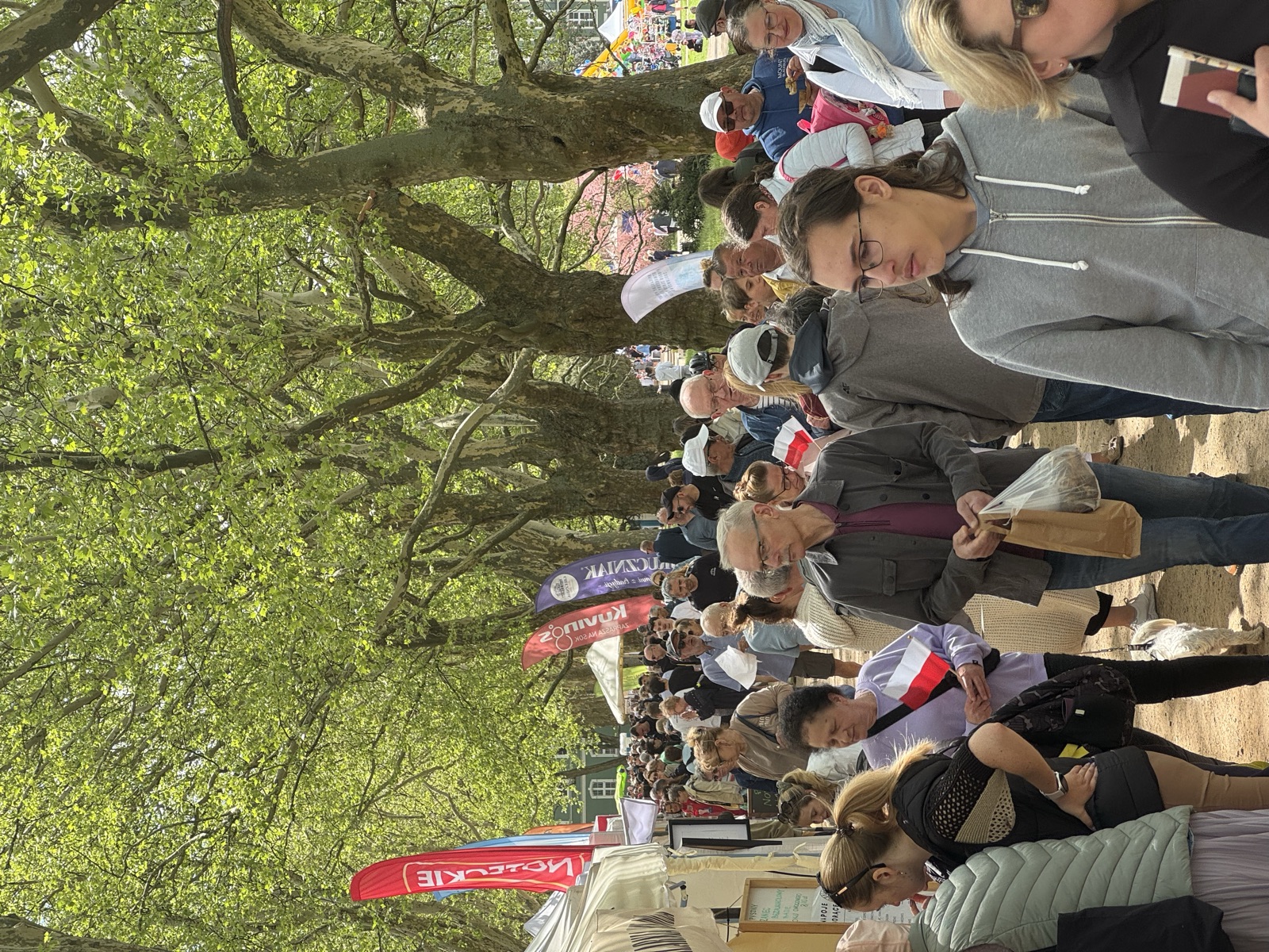 Alejka jarmarku pod koronami drzew